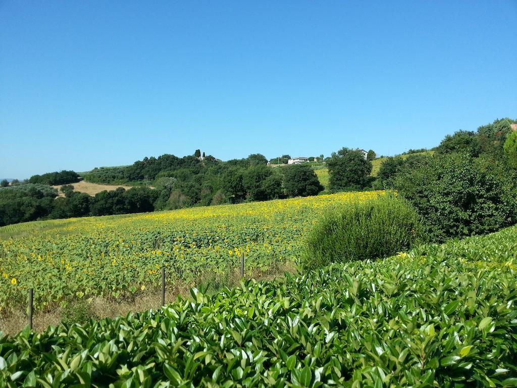 Il Borghetto Villa Todi Kültér fotó